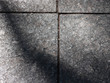 Photo: fragment of a pavement fragment of a pavement