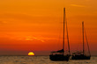 orange sunset