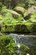Eckertal Moossteine