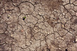 texture, cracked earth