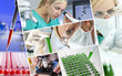 Photo: Female Scientist Doctor in Research Laboratory Female Scientist Doctor in Research Laboratory