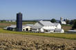 Amish farm