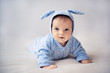 little bunny newborn baby