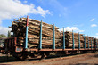 Transporting Wood on Railcars