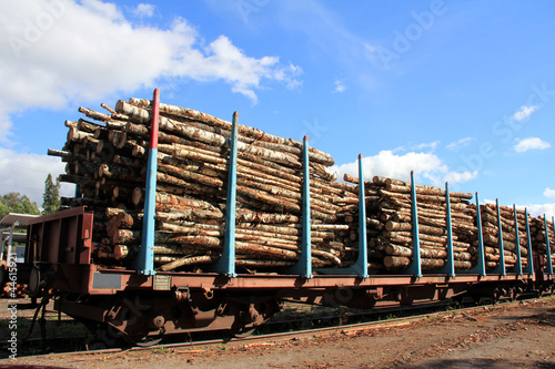 Photo: Transporting Wood on Railcars Transporting Wood on Railcars