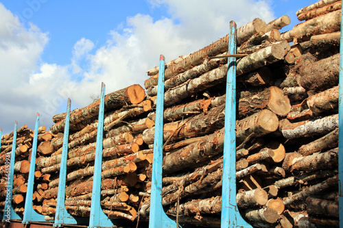 Photo: Wood Stacked on a Railcar Wood Stacked on a Railcar