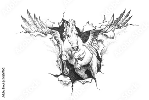 Photo: Pencil drawing of Pegasus Pencil drawing of Pegasus
