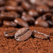 Nahaufnahme von Kaffeebohnen