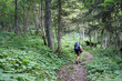 randonnée en forêt