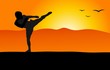 Martial arts master - silhouette