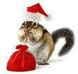 Photo: Chipmunk in red Santa Claus hat with Santas bag Chipmunk in red Santa Claus hat with Santas bag