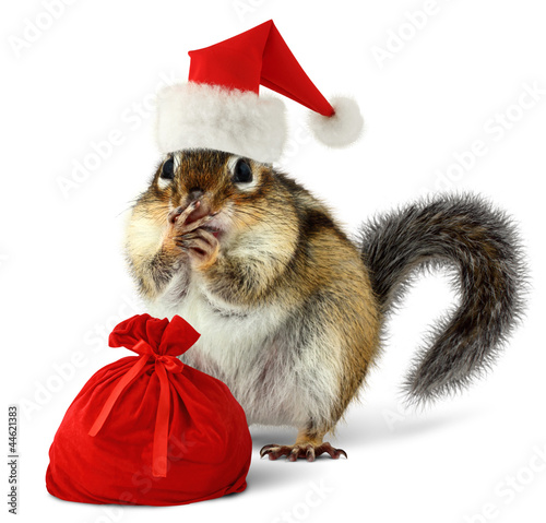 Photo: Chipmunk in red Santa Claus hat with Santas bag Chipmunk in red Santa Claus hat with Santas bag