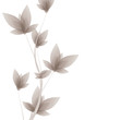Vector floral design element