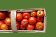 Tomatenernte
