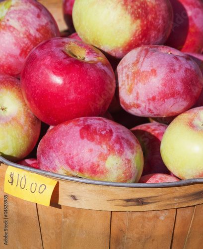 Photo: Apples Apples