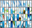 abstract Various colorful vertical header set collection vector