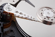 hard disk (broken/ opened unit)