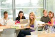 Student back to school in library study