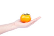 fresh persimmon fruits isolated on hand with white background