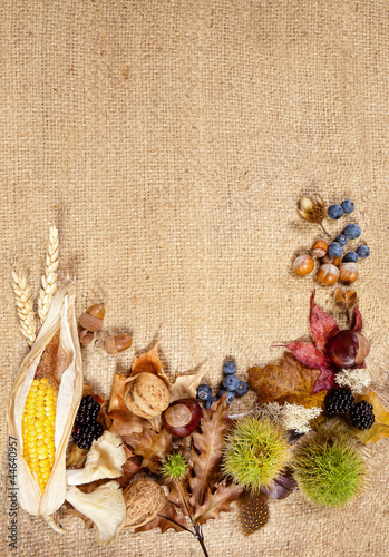 Photo: Autumn border on jute Autumn border on jute