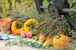 herbst im garten