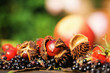 herbstliches Bild mit Kastanien und Holunderbeeren