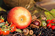 Apfel und andere Herbstfrüchte vor silberner Teekanne