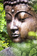 Grunge Buddha Nature - Abgeblätterte Farbe