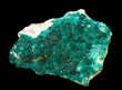 Foto: Green Dioptase crystals isolated on black. Fine museum piece. Green Dioptase crystals isolated on black. Fine museum piece.