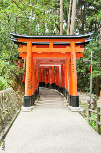 Photo: Fushimi Inari Fushimi Inari
