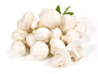 Weisse Champignons