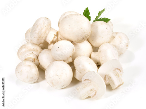 Photo: Weisse Champignons Weisse Champignons