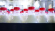 rows of plastic bottles with milk and red caps at factory