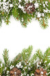 Foto: Christmas framework with snow and cones Christmas framework with snow and cones