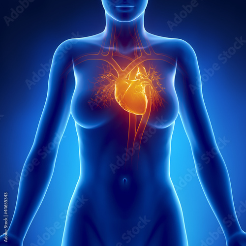 Illustration: Woman glowing heart anatomy Woman glowing heart anatomy