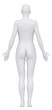 White female isolated in anatomical position posterior view