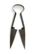 Sheep Shears, Old