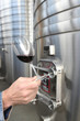 Wine factory