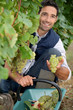 portrait of a wine-grower