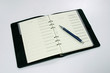 Pen and personal organizer