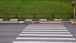 On pedestrian crossing men and cars go