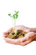 Businesswoman with seedlings and coins
