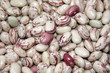 Borlotti Bohnen