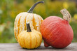 Pumpkins - Kürbisse
