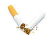Photo: A cigarette broken in half on a white background A cigarette broken in half on a white background