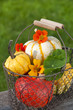 Pumpkins - Kürbisse
