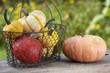 Pumpkins - Zierkürbisse