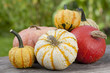 Pumpkins - Kürbisse