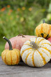 Pumpkins - Kürbisse