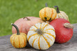 Pumpkins - Kürbisse